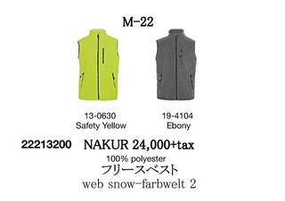 M22.jpg